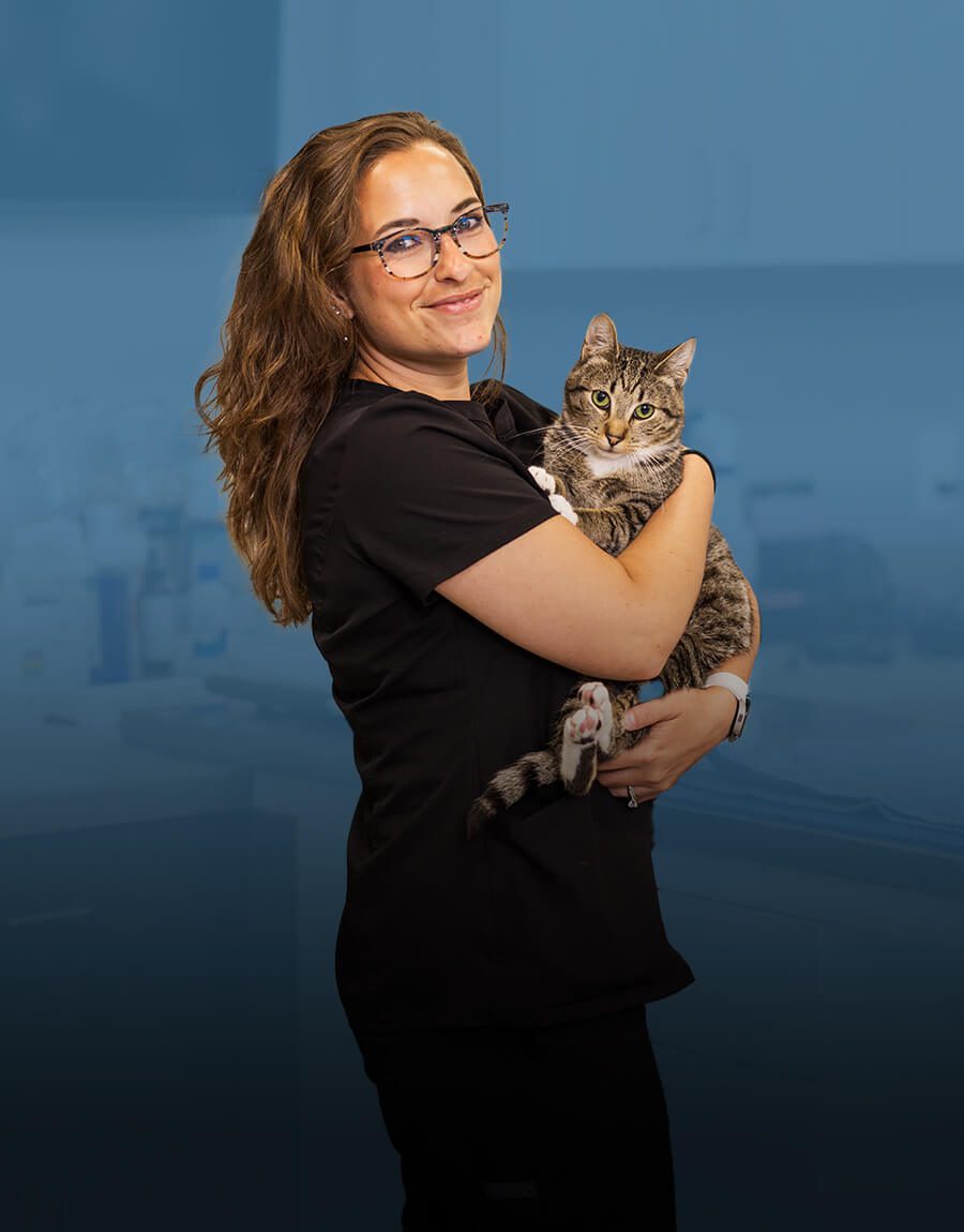 Female Veterinarian Holding Cat