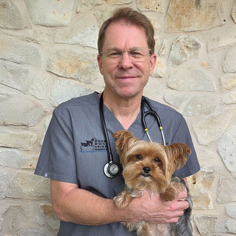 Dr David Hocher With Brown Yorkie