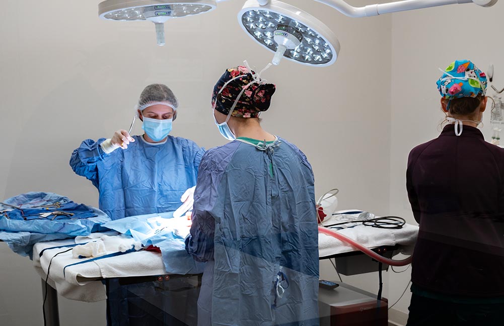 Surgery Team team working together during surgery