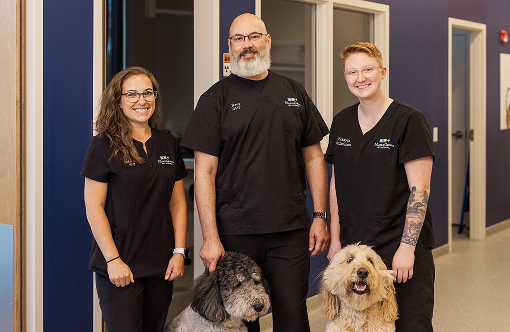 Team Smiles group of technicians smiling for the camera