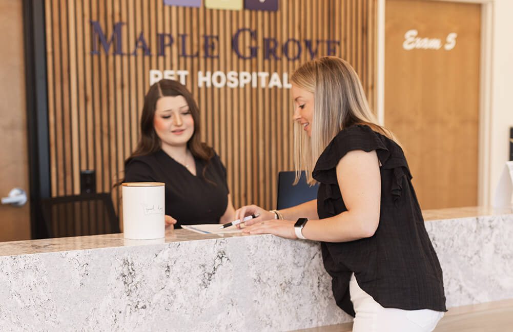 Client At Front Desk Client At Front Desk