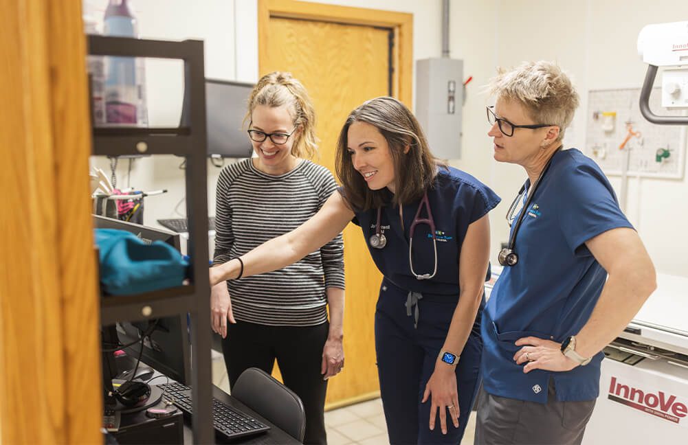 Female Vet Staff At Computer three female vet staff members looking at computer screen