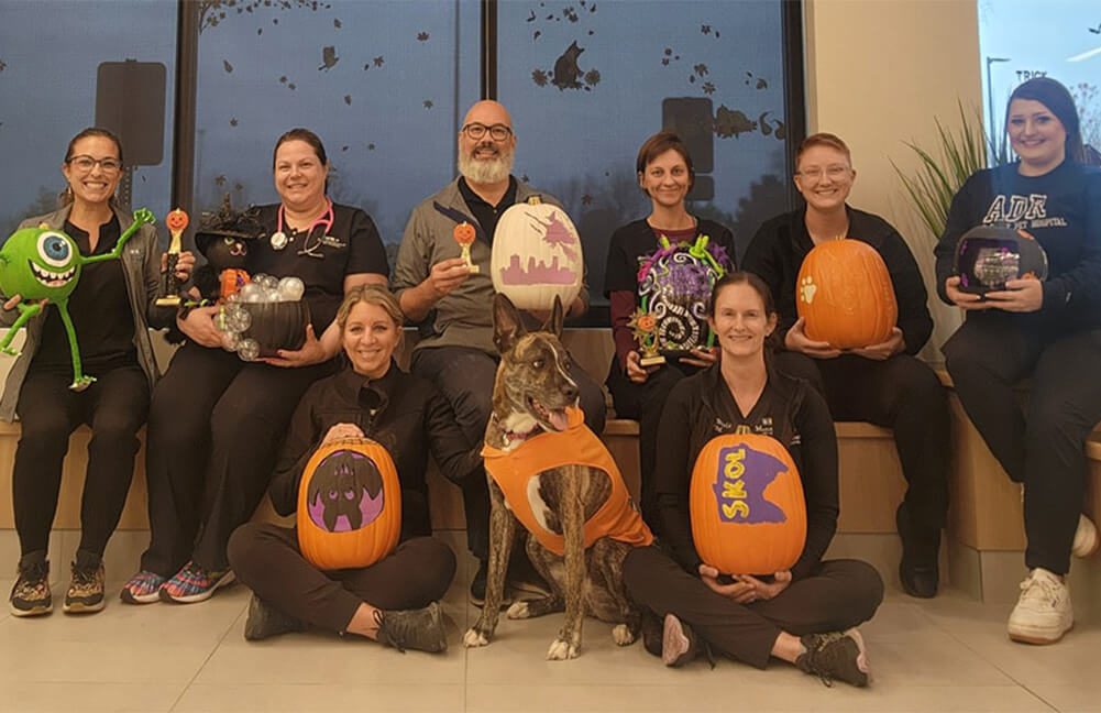 Maple Grove Staff With Pumpkins Maple Grove Staff With Pumpkins