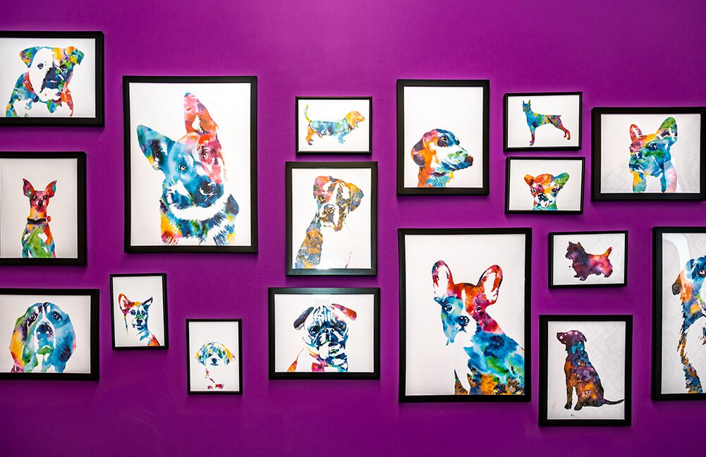 purple wall with rainbow dog and cat framed artwork