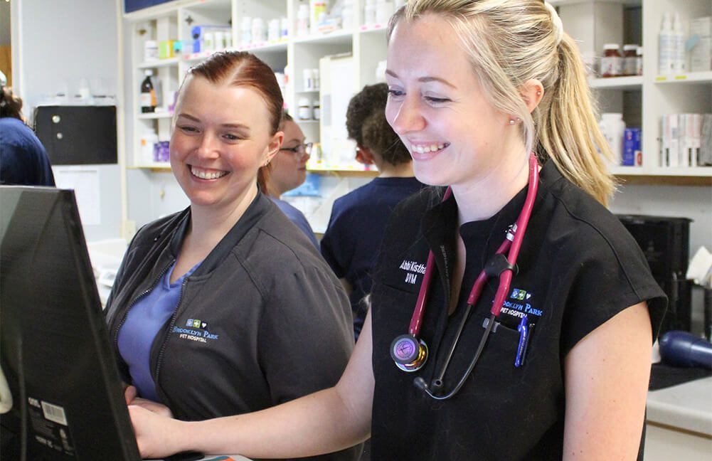 Vets At Computer Station Vets At Computer Station