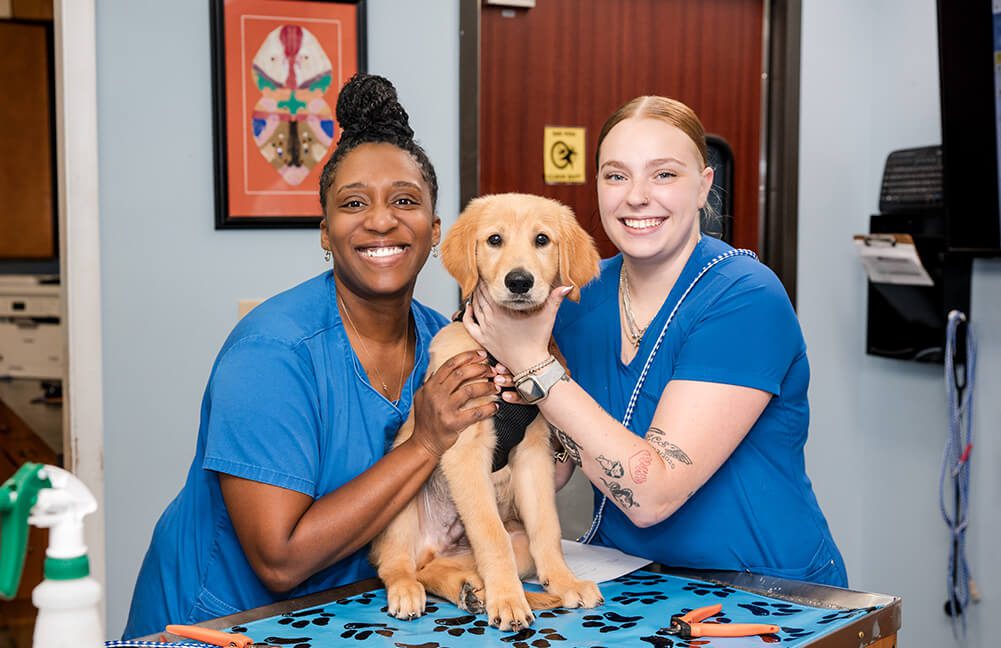 two female vet staff members posing with golden retriever puppy