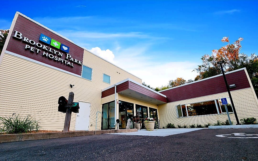 Bpph Exterior Bpph Exterior