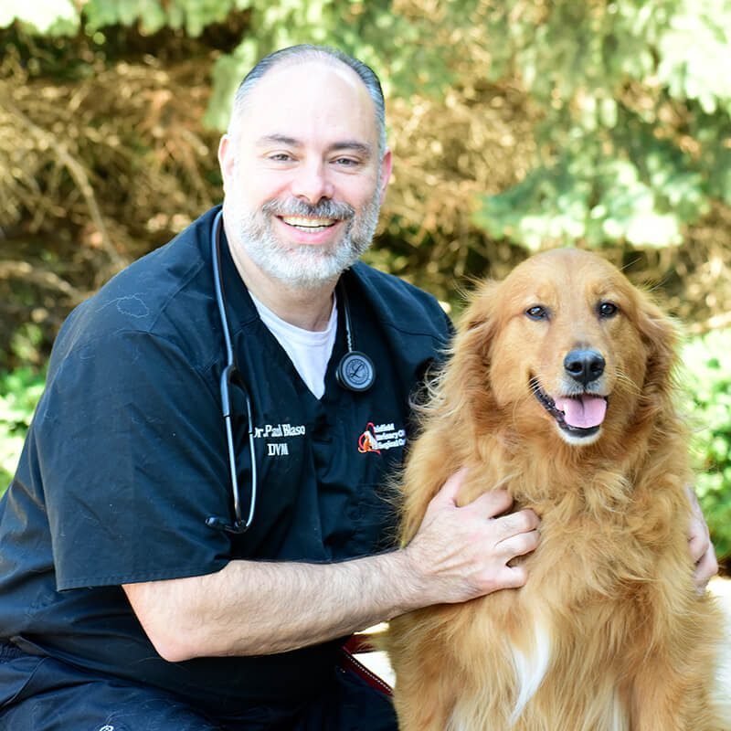 Dr Paul Blaso With Golden Retriever Dr Paul Blaso With Golden Retriever
