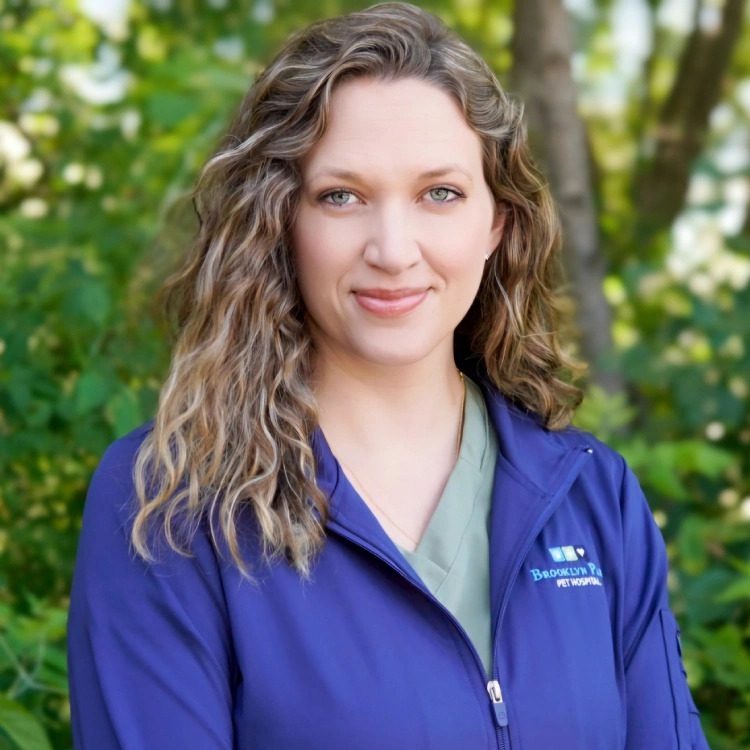 Veterinarian Dr Kari Strohmaier Headshot Veterinarian Dr Kari Strohmaier Headshot