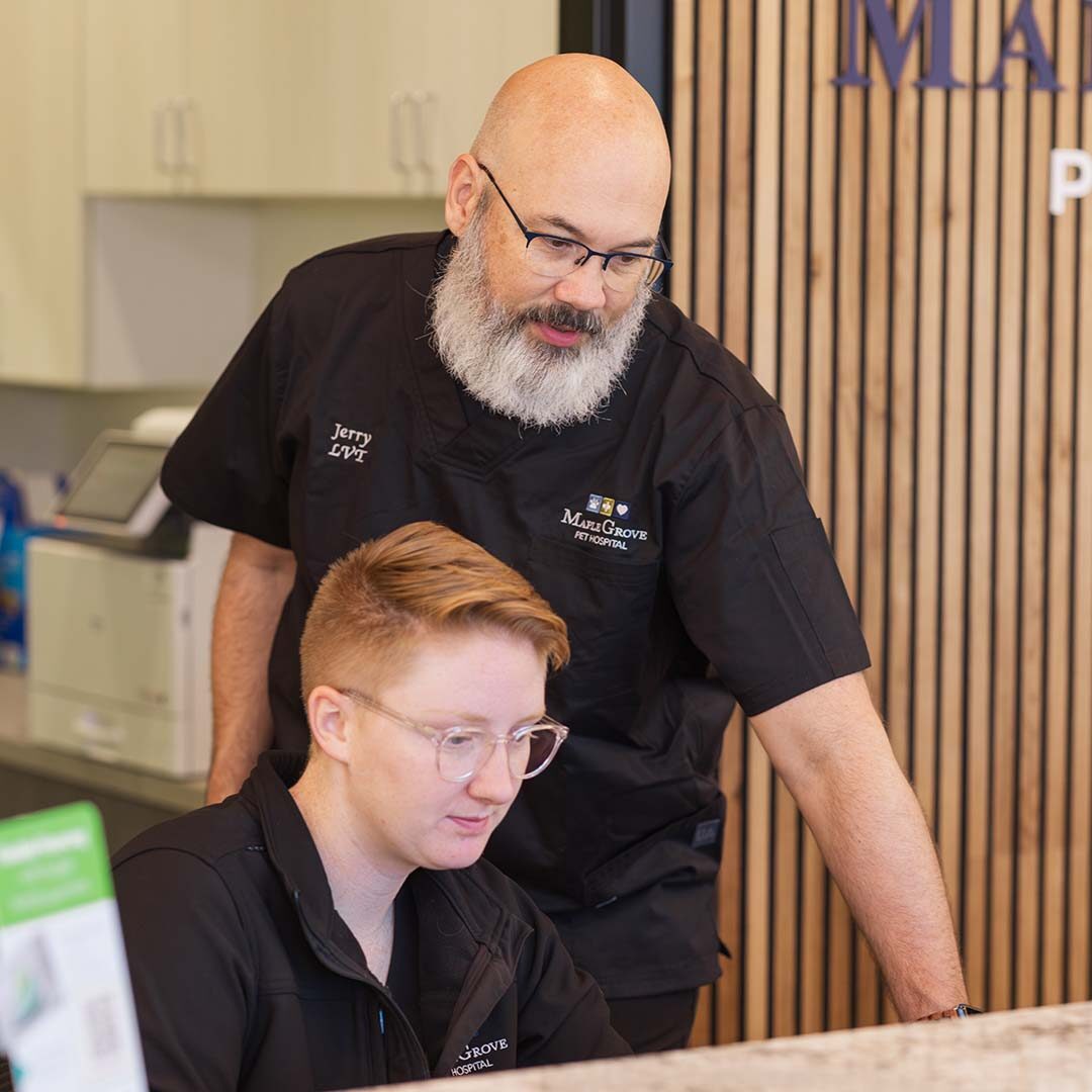 Collaboration veterinarian assisting vet tech in lobby