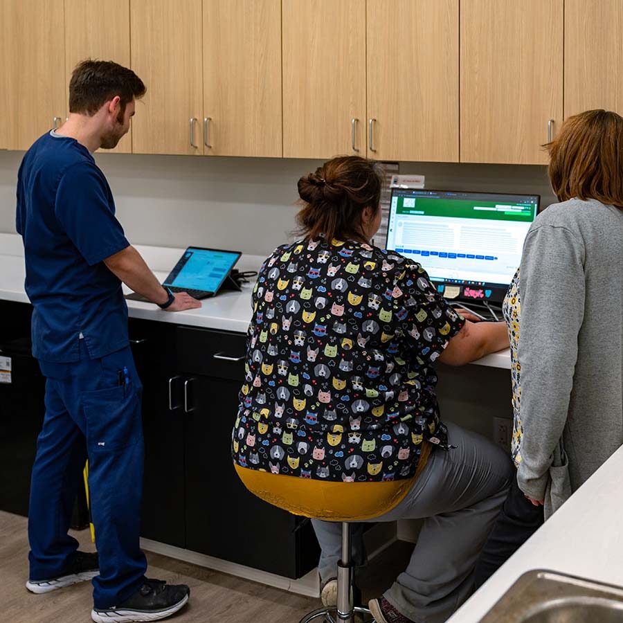 Computer Tablet team using computer and tablet