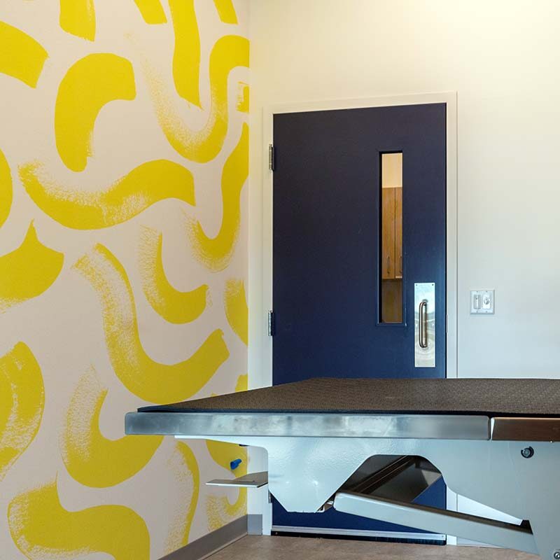 yellow decorative wall inside of exam room