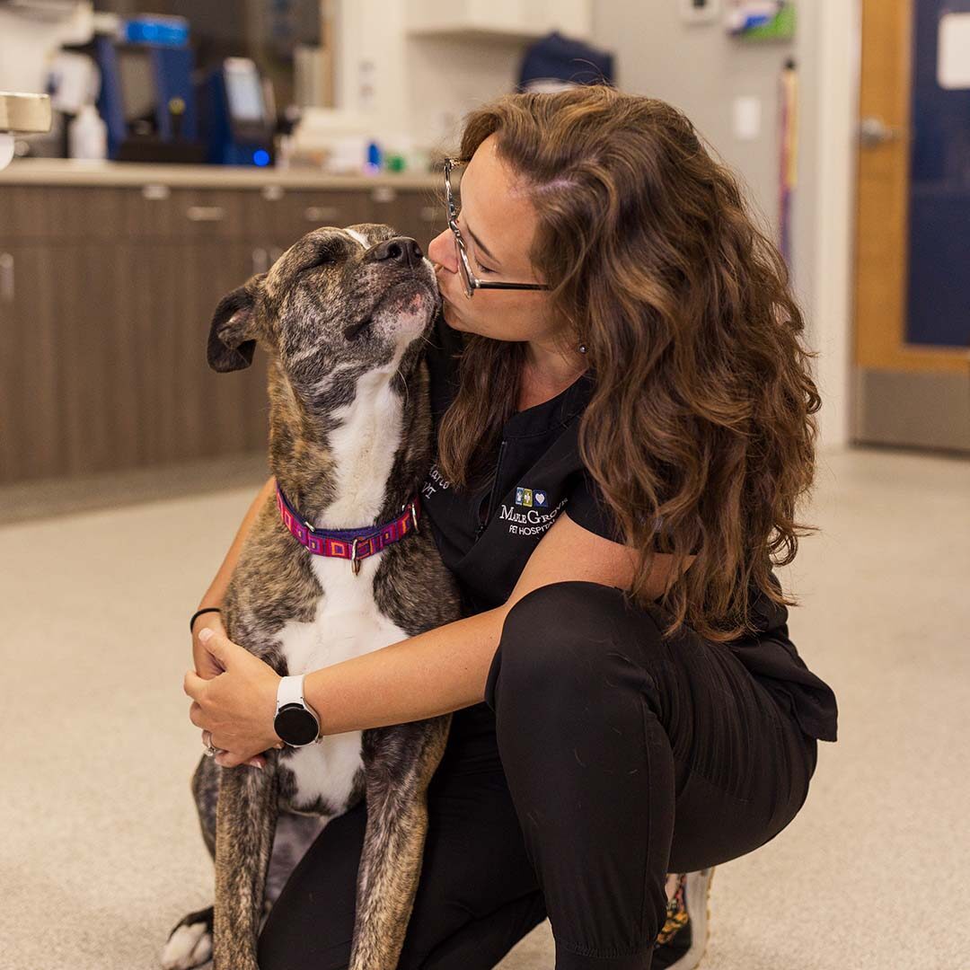 Dog Kisses technician hugging dog