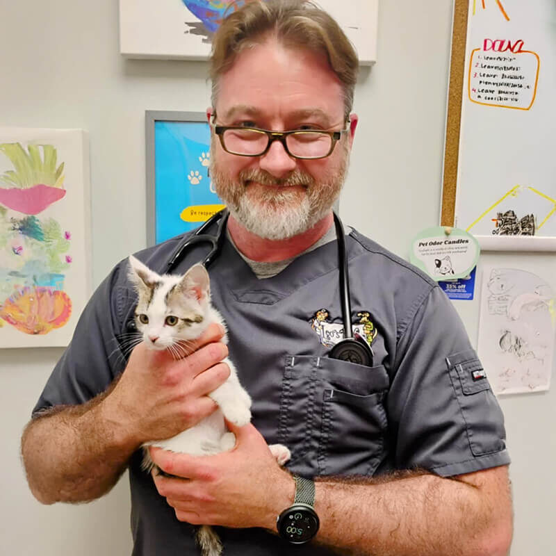 Dr Greg Magnusson With Kitten Dr Greg Magnusson With Kitten