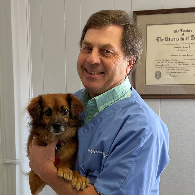 Dr James Beeson With Brown Dog Dr James Beeson With Brown Dog