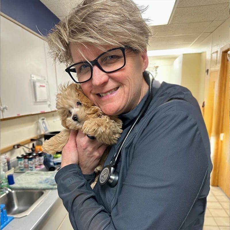 Dr Jami Stromberg Holding Puppy Dr Jami Stromberg Holding Puppy