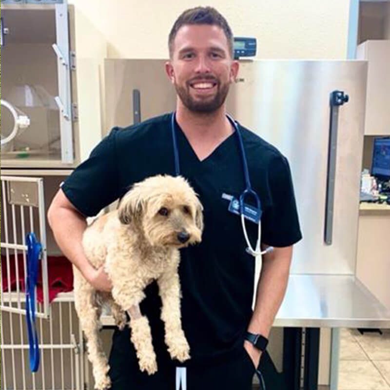 Dr Will Beeson Holding Dog Dr Will Beeson Holding Dog