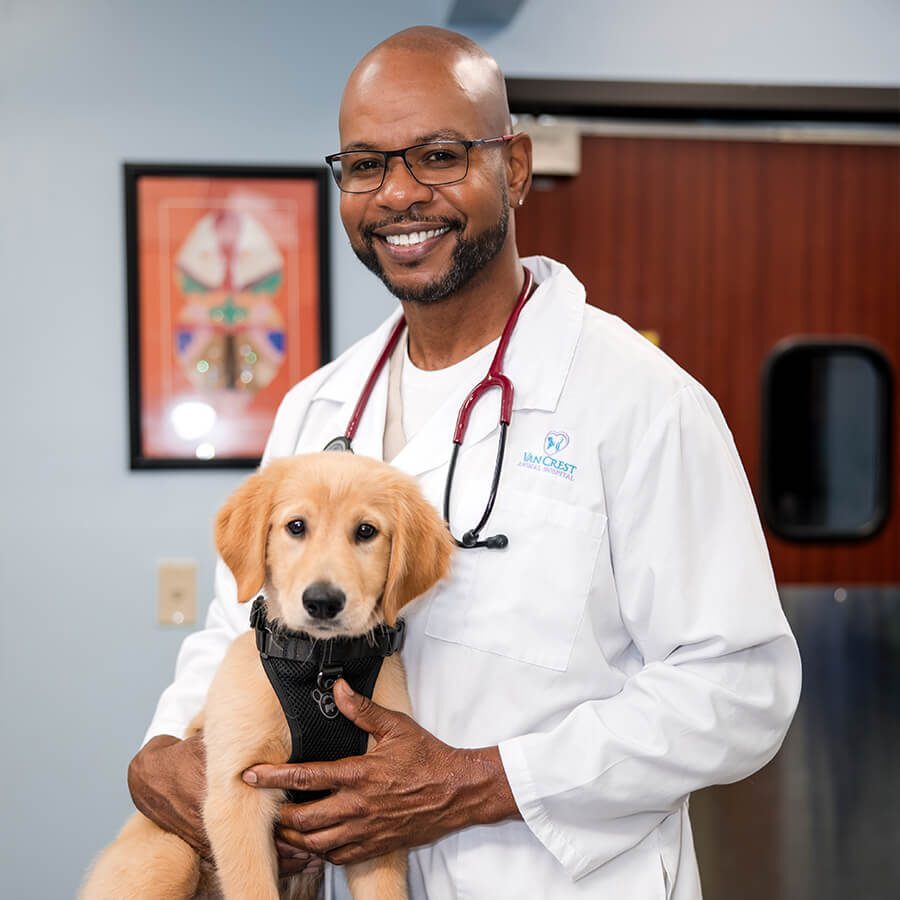 Male Veterinarian Posing With Puppy