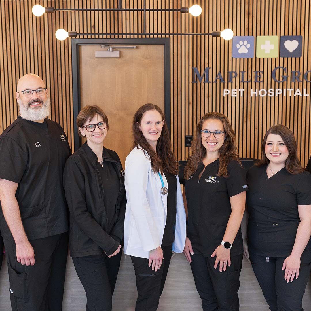 Maple Grove Team the Maple Grove Animal Hospital team pose for a photo in the front lobby