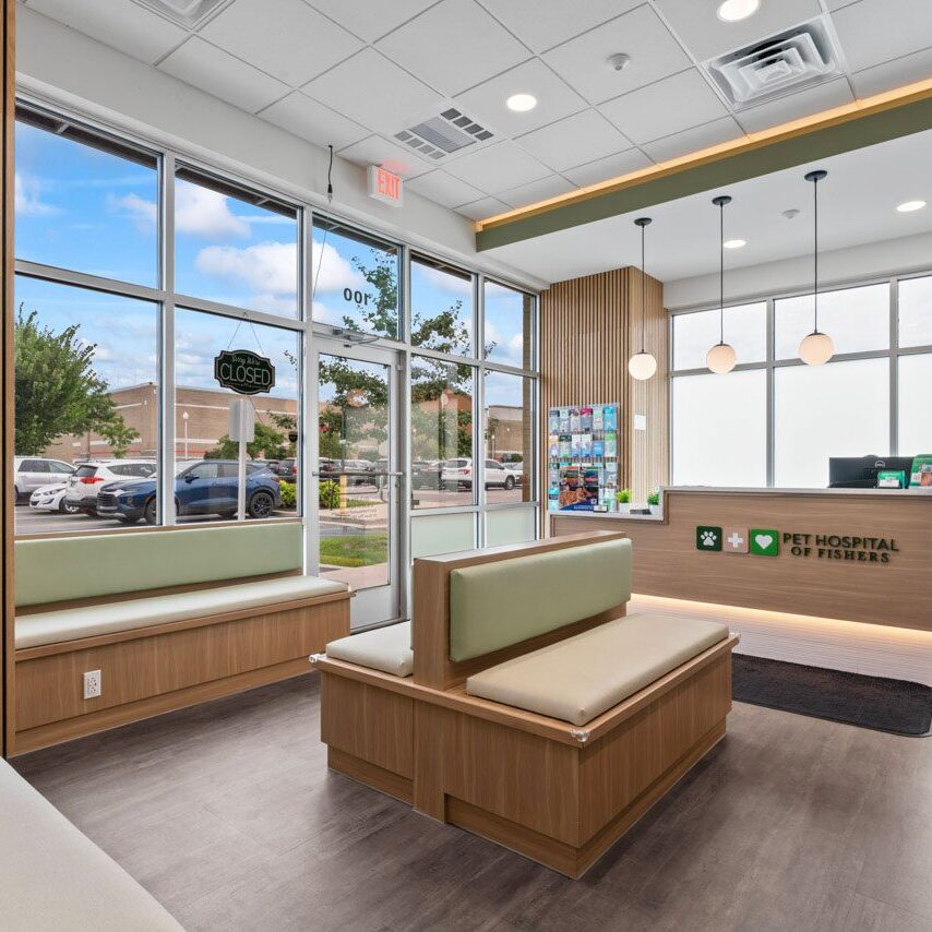 Phf Interior waiting area of Pet Hospital of Fishers