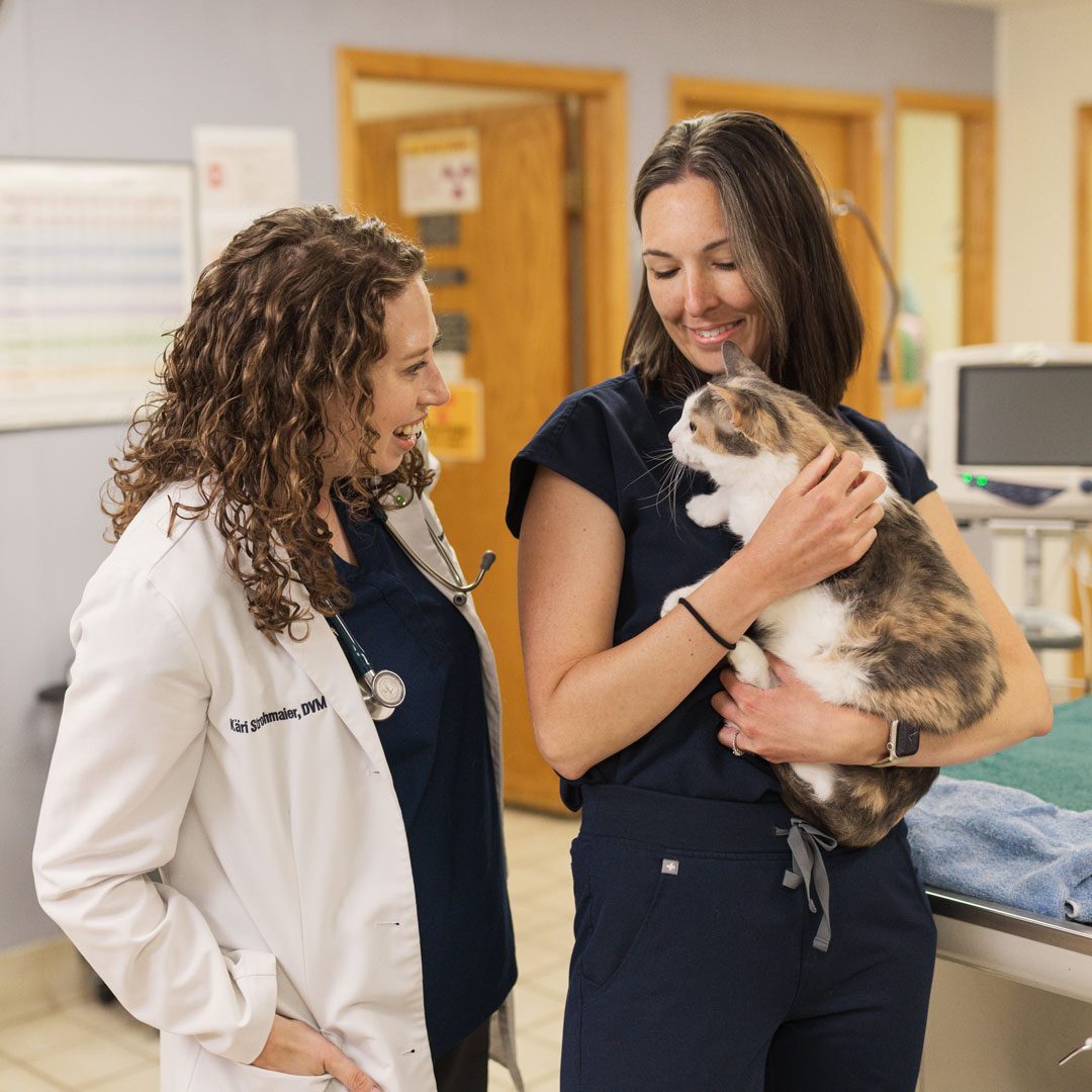Smiling Female Vets With Cat