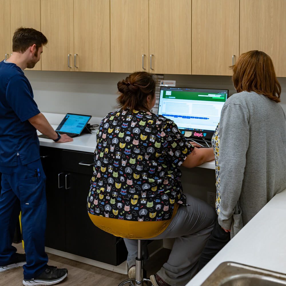 veterinary staff sitting around computer in back of animal hospital