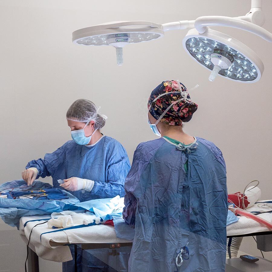 team working together during surgery