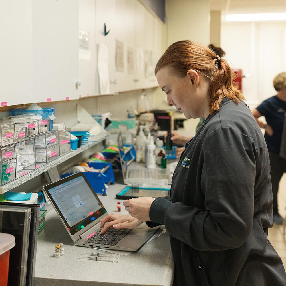 Tech Looking At Laptop female tech looking at laptop in laboratory area