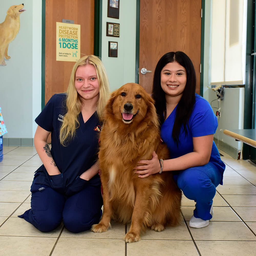 Two Young Vet Staff With kneeling with dog and smiling