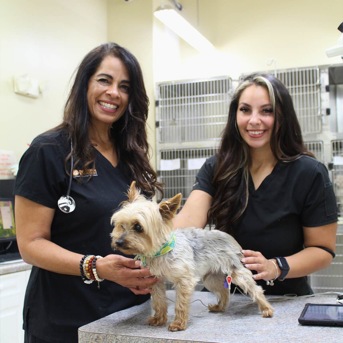 female vet and vet tech with yorkie on exam table