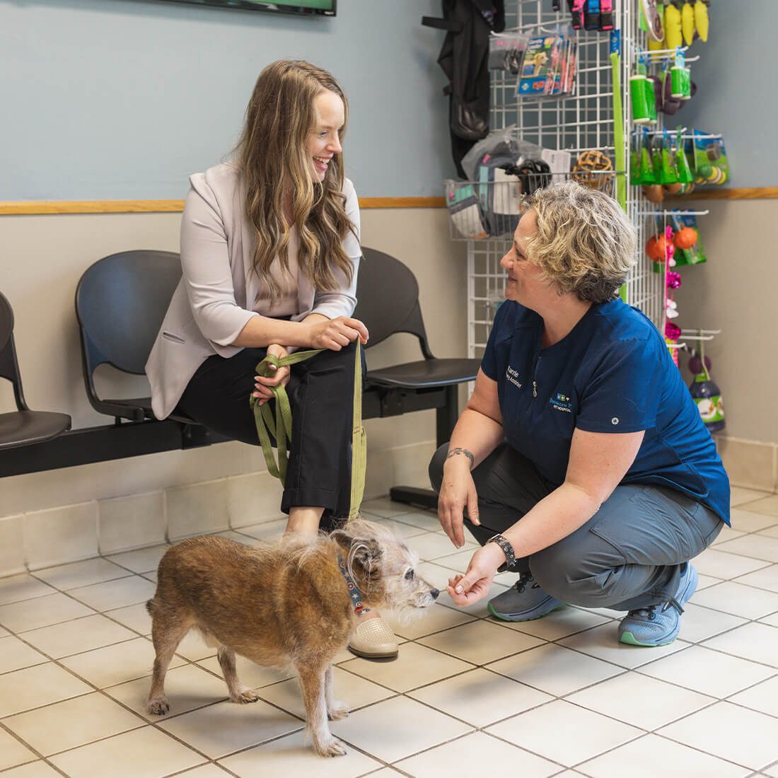Vet Tech Kneeling With Dog Vet Tech Kneeling With Dog