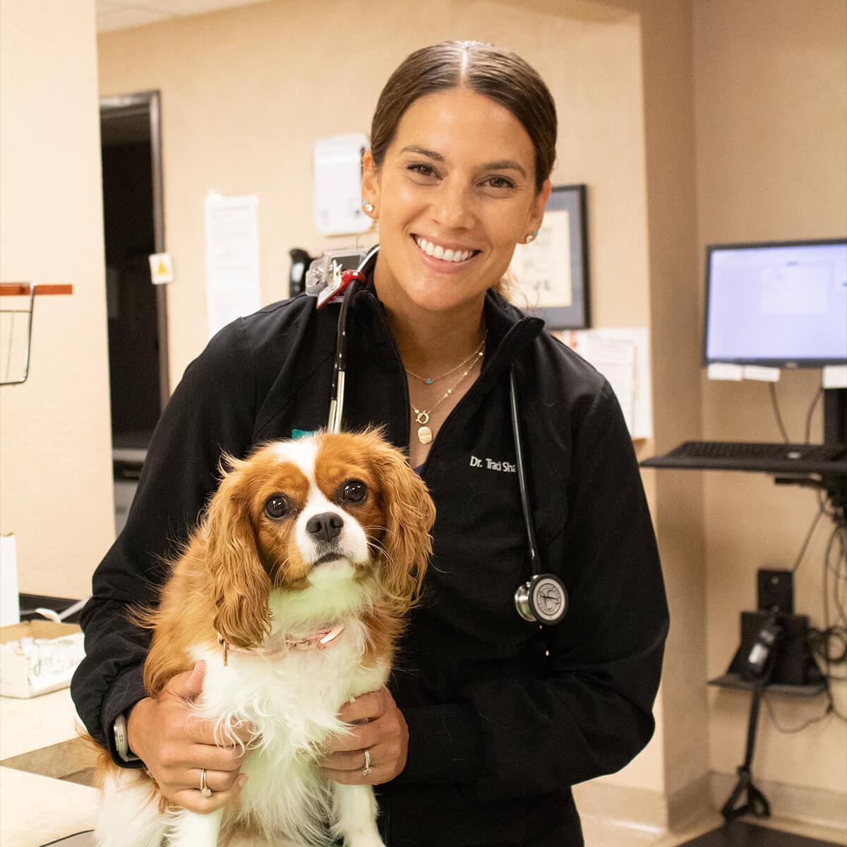 young female veterinarian with small brown and white dog in exam area