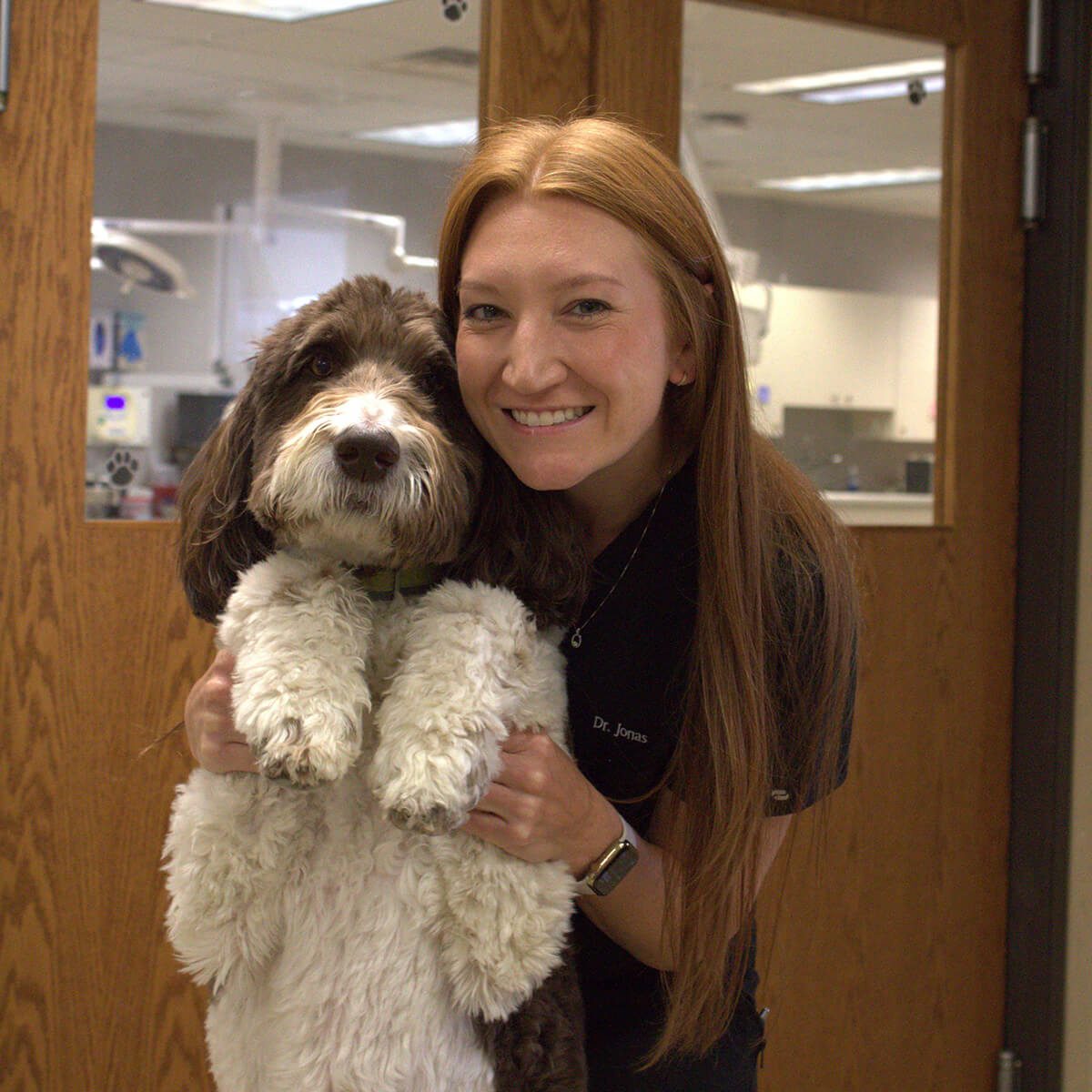 young female veterinarian standing with large brown and white dog